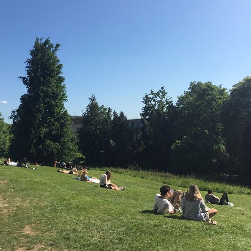 students lying in the sun on the hillside in Royal Fort gardens